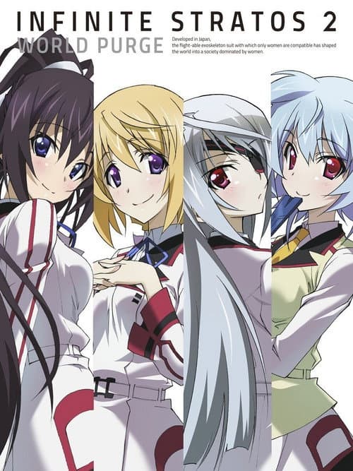 Infinite Stratos (2011) poster