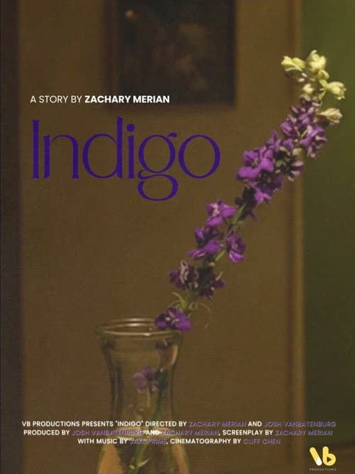 INDIGO (2026) poster