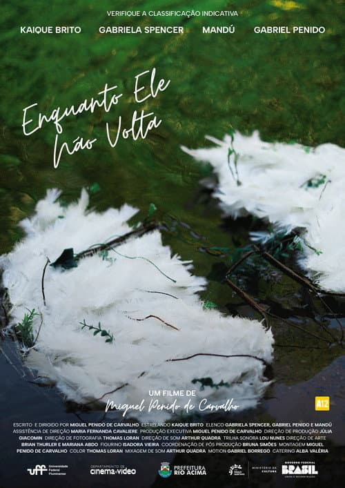 Enquanto Ele Não Volta (2024) poster