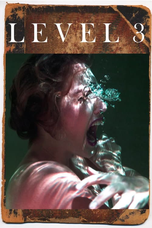 Level 3 (2021) poster