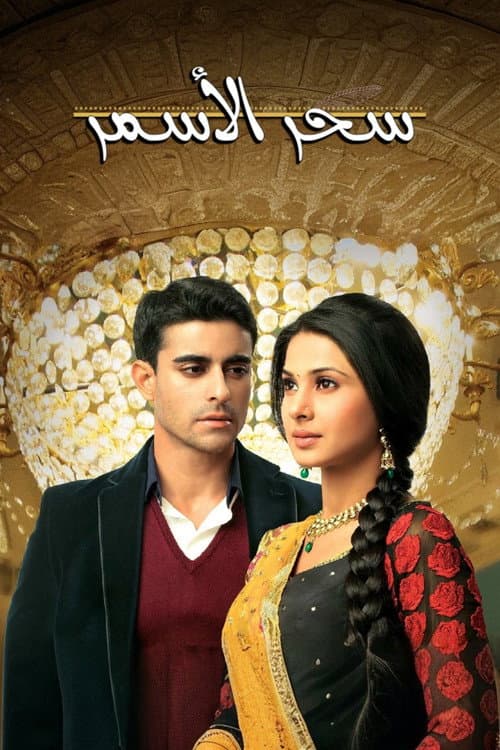 Saraswatichandra (2013) poster