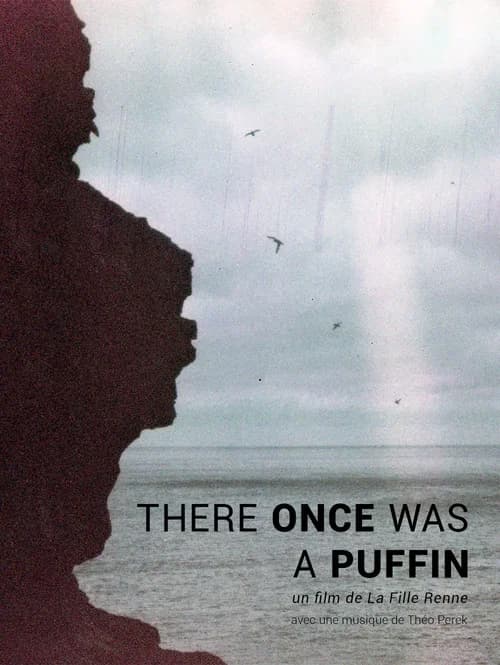 There Once was A Puffin poster