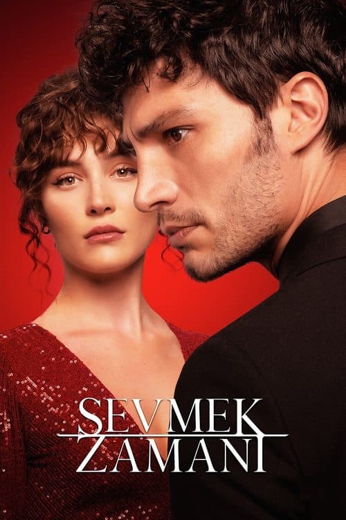 Time to Love (2022) poster