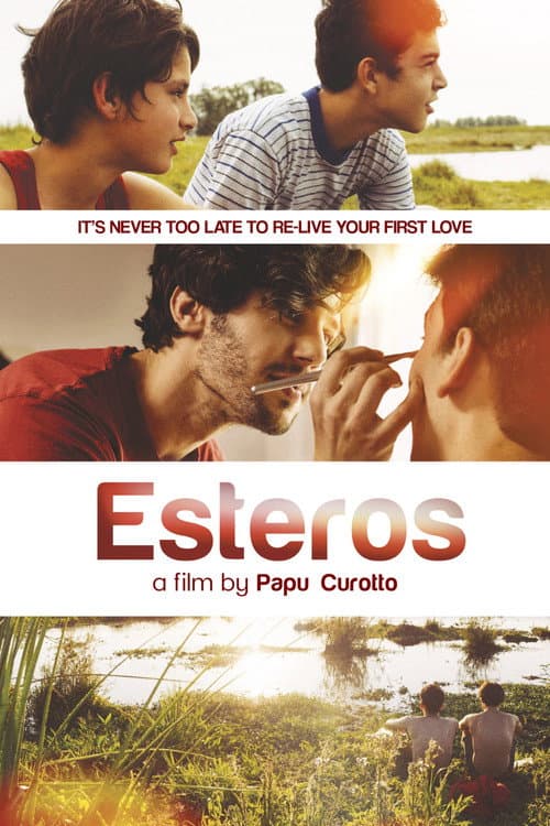 Esteros (2016) poster