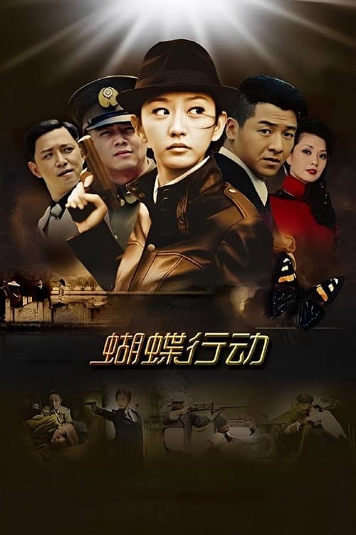 Butterfly Mission (2012) poster
