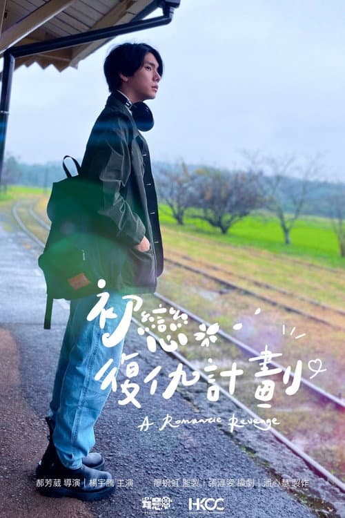 A Romantic Revenge poster