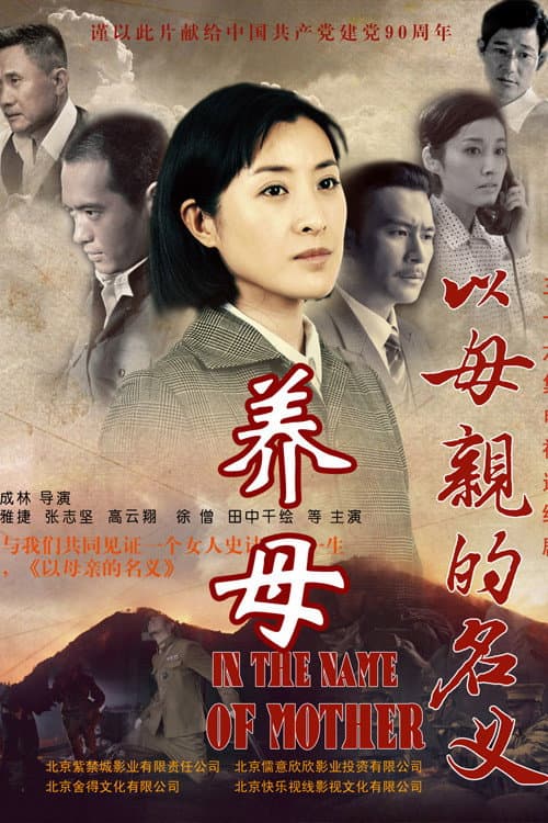 养母 (2011) poster