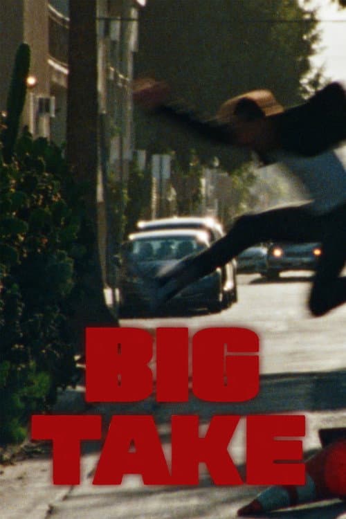 Big Take (2024) poster