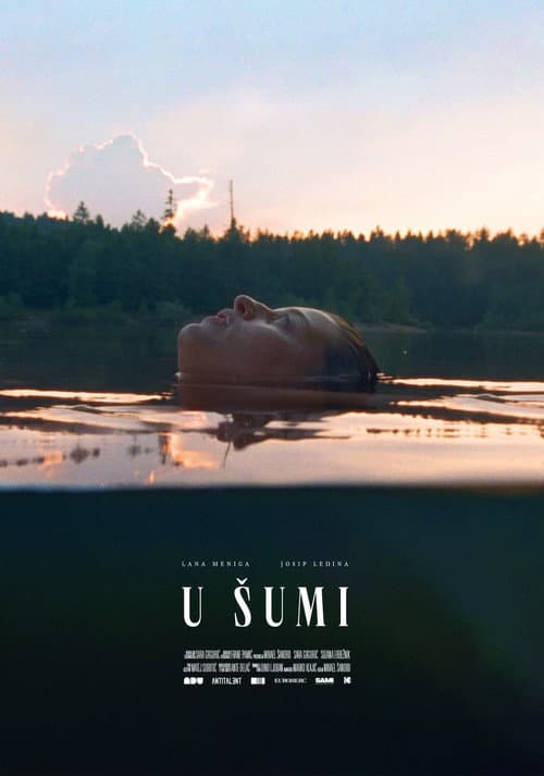 In the Woods (2020) poster