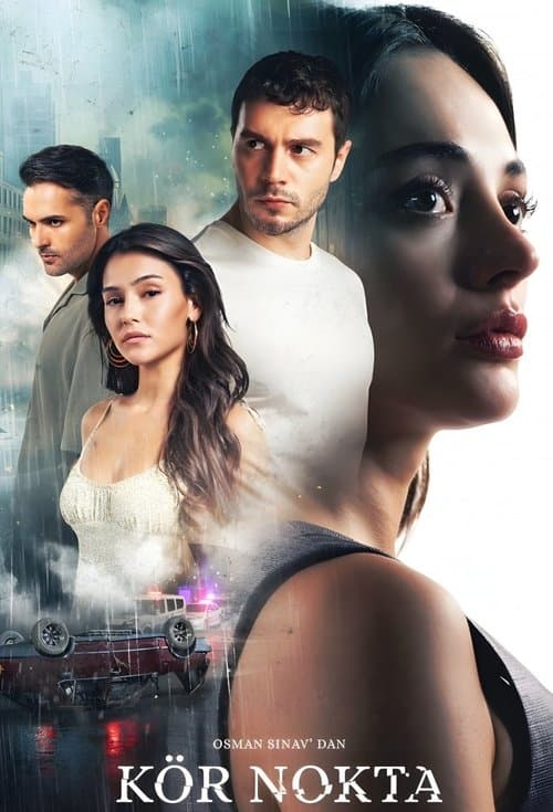 Blind Spot (2024) poster