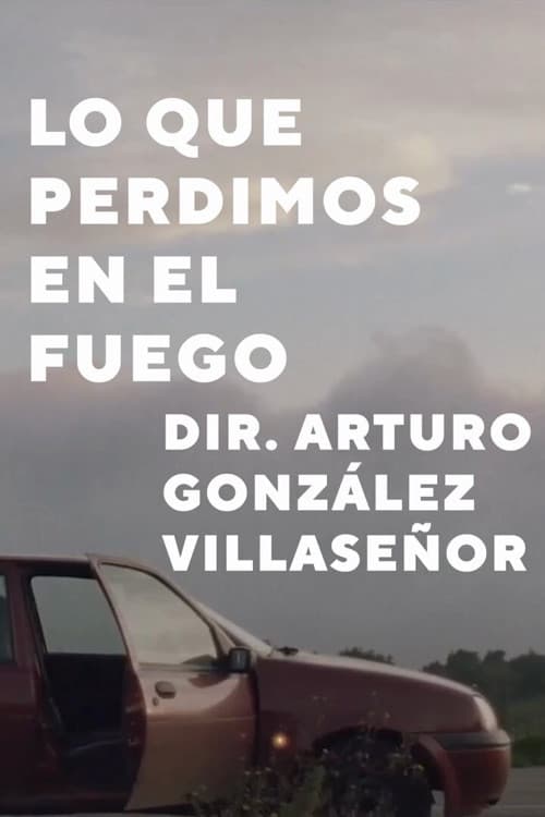 Lo que perdimos en el fuego (2024) poster