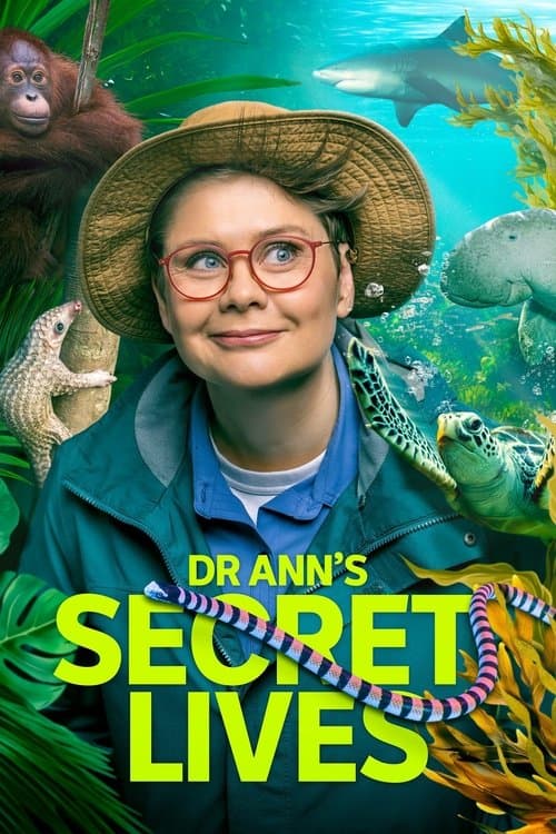 Dr Ann's Secret Lives (2025) poster