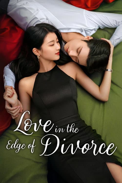Love in the Edge of Divorce (2025) poster