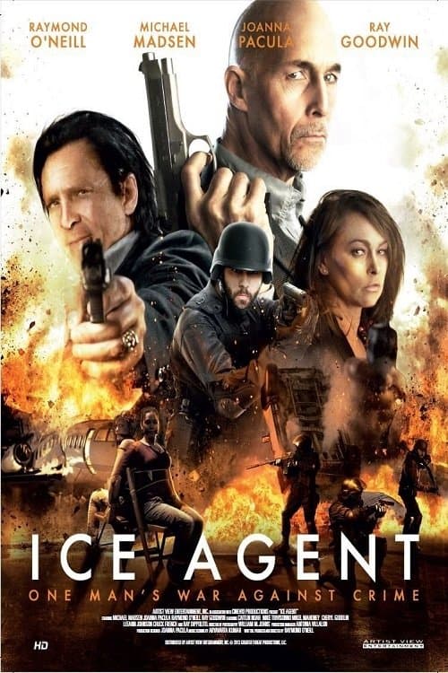ICE Agent (2013) poster