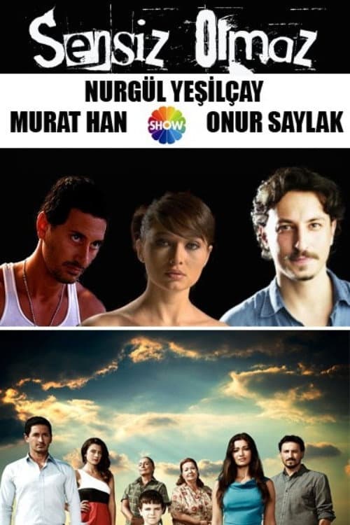 Sensiz Olmaz (2011) poster