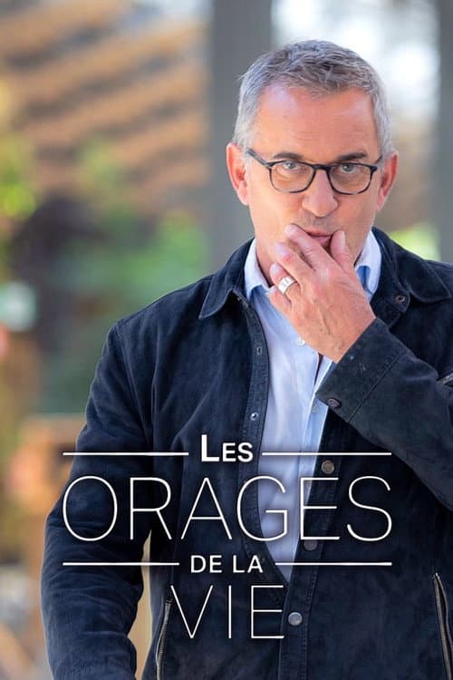 Les orages de la vie (2011) poster