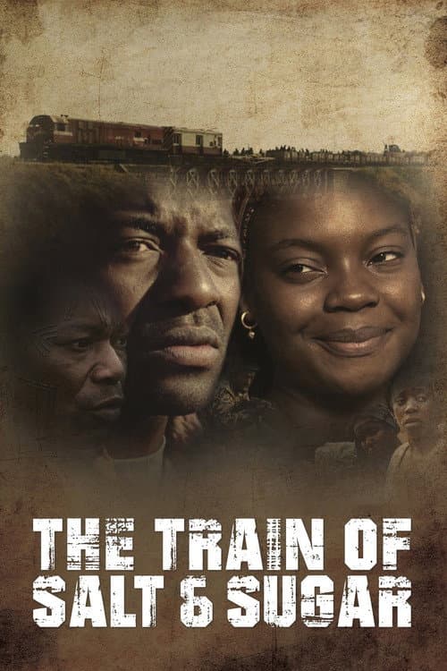 The Train of Salt and Sugar (2016) poster