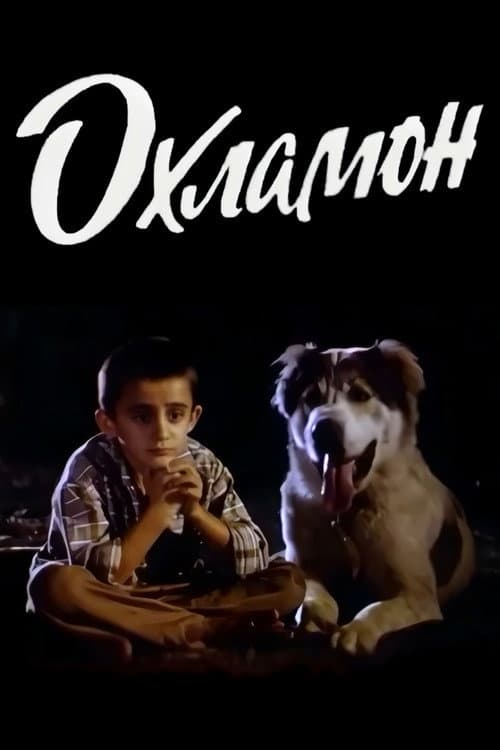 Dodgy (1993) poster