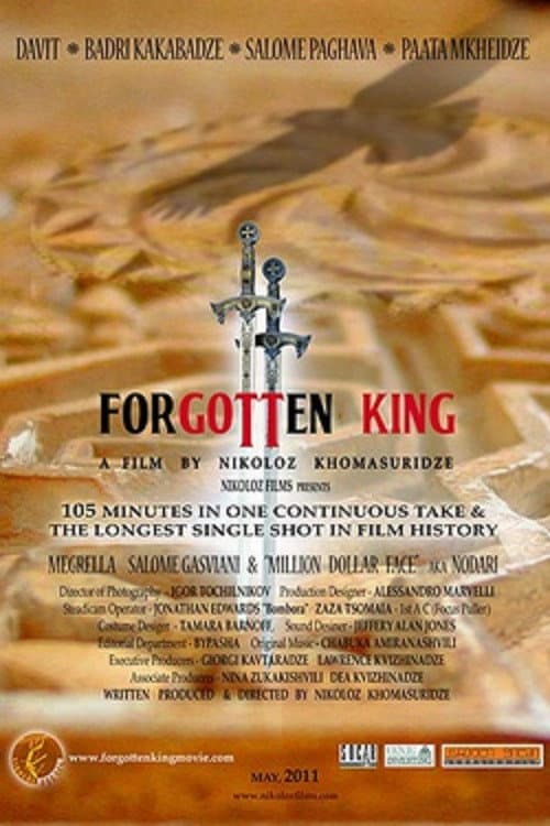 The Forgotten King (2013) poster