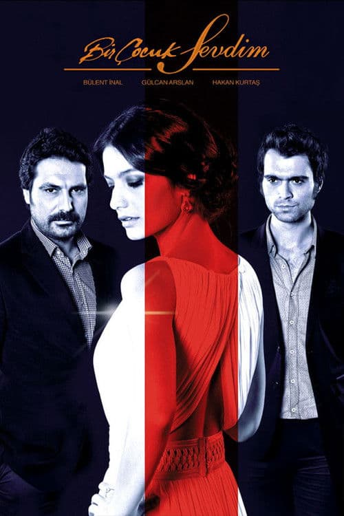 Bir Çocuk Sevdim (2011) poster