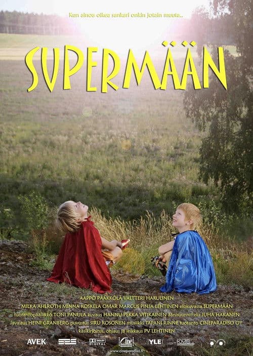 My Superhero (2010) poster