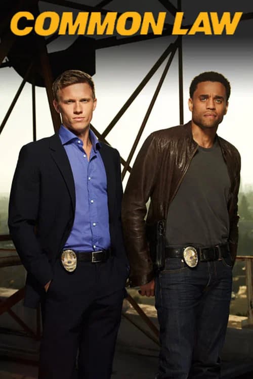 Common Law (2012) poster