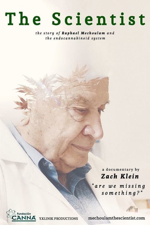 The Scientist: Are We Missing Something? poster