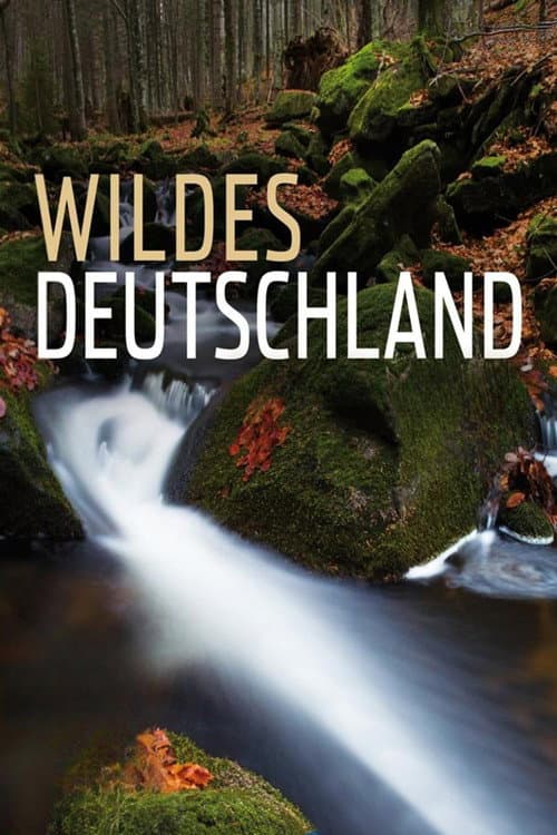 Wild Germany (2011) poster