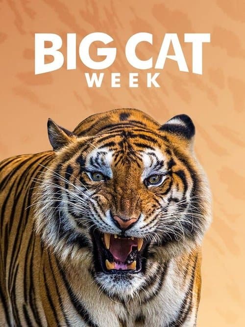 Big Cat Diary (1996) poster