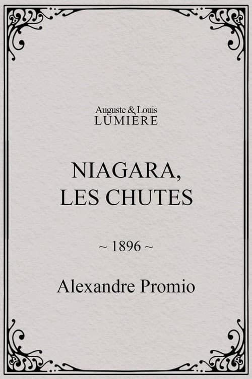 Niagara Falls poster