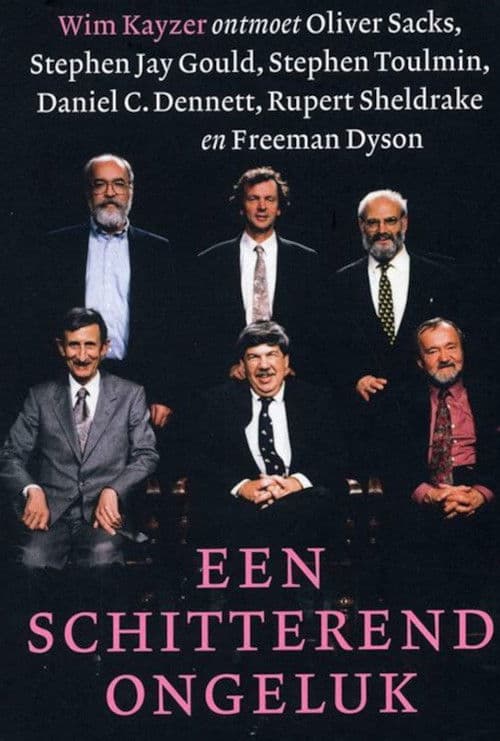 A Glorious Accident (1993) poster