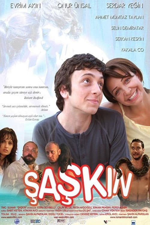 The Silly (2006) poster