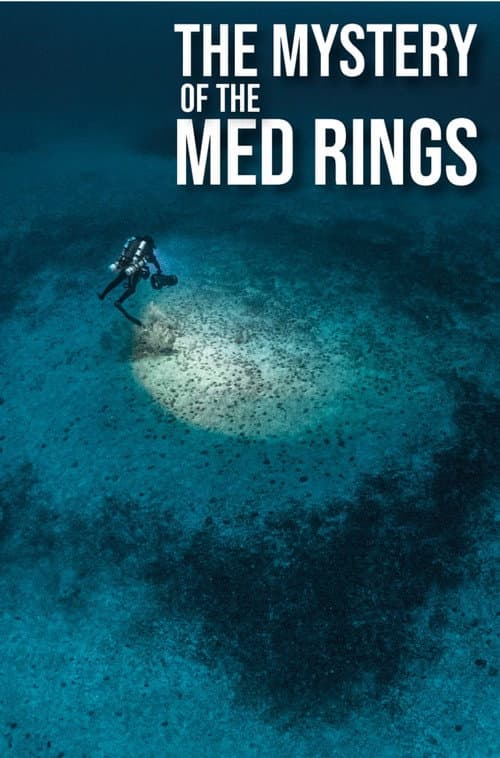 The Mystery of the Med Rings (2025) poster