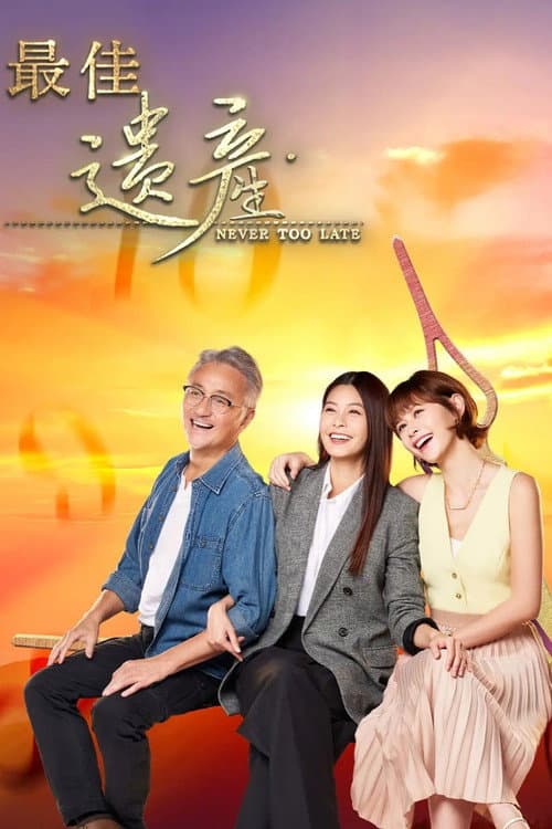 Never Too Late (2024) poster