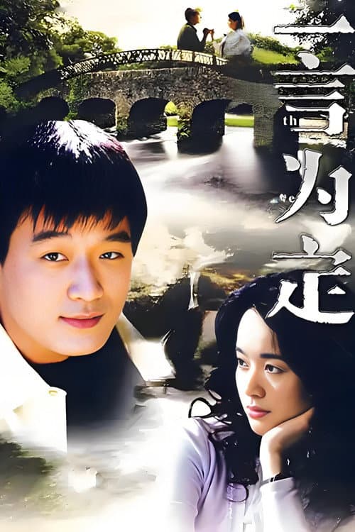 一言为定 (2008) poster