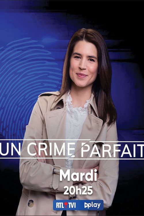 Un crime parfait ? (2015) poster