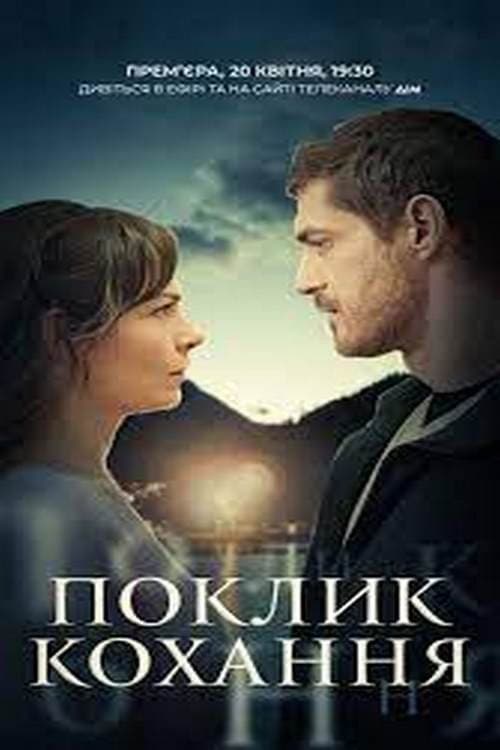 The Call of Love (2024) poster