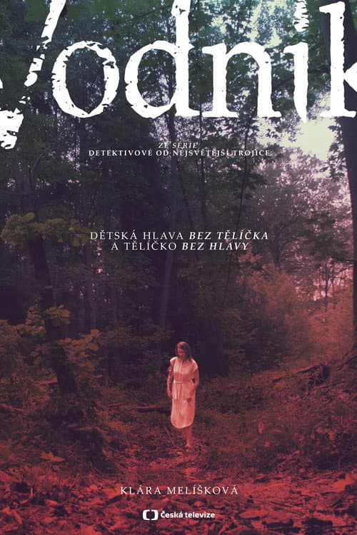 Vodník (2019) poster