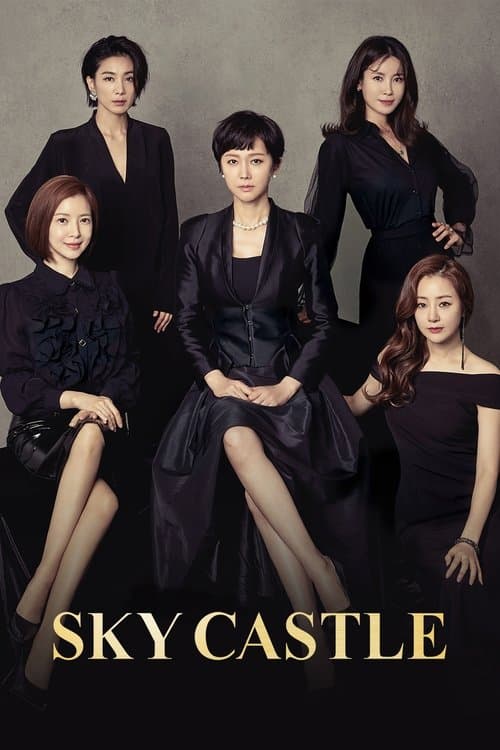 SKY Castle (2018) poster