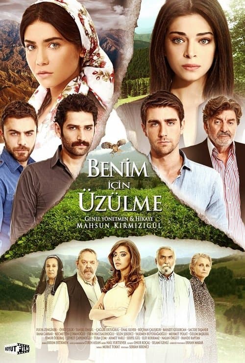 Benim İçin Üzülme (2012) poster
