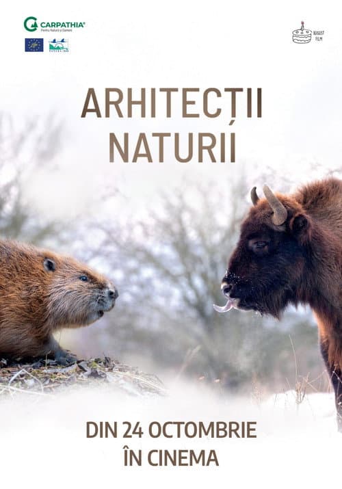 Nature's Architects poster