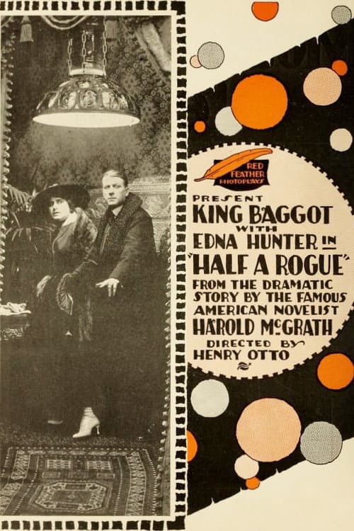 Half a Rogue poster