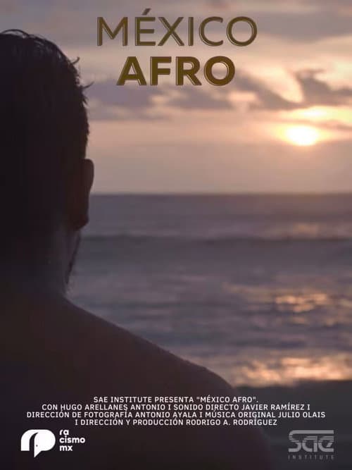 México Afro (2024) poster