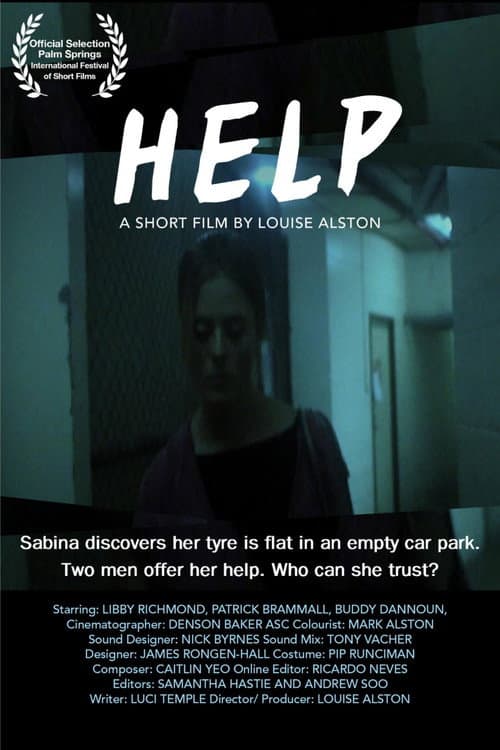 Help (2007) poster