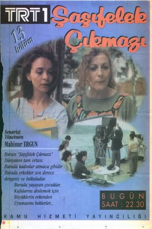 Şaşıfelek Çıkmazı (1996) poster