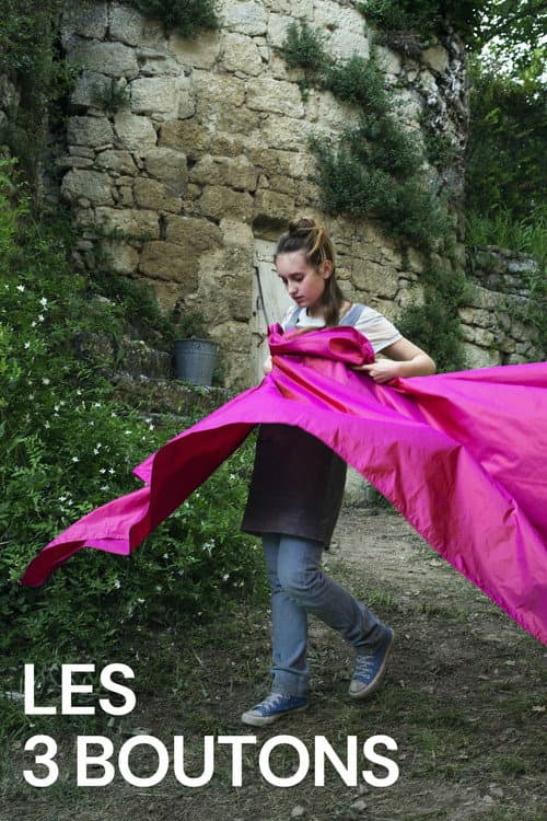 Les 3 Boutons (2015) poster
