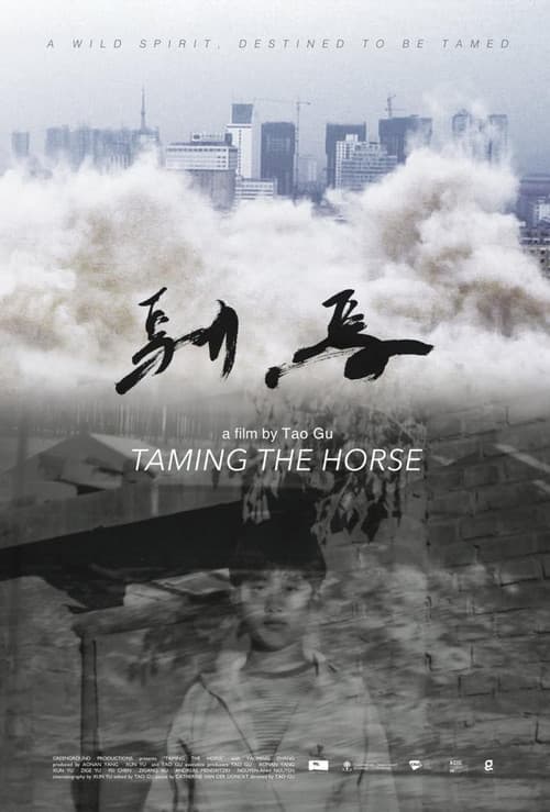 Taming the Horse (2017) poster