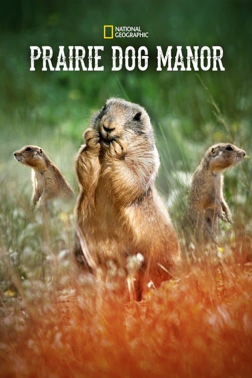 Prairie Dog Manor (2019) poster