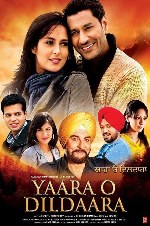 Yaara O Dildaara (2011) poster