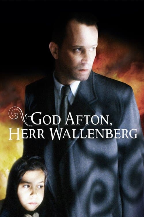 Good Evening, Mr. Wallenberg (1990) poster